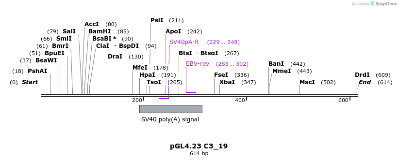 98067_map