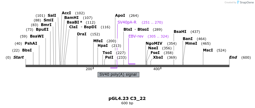 98068_map