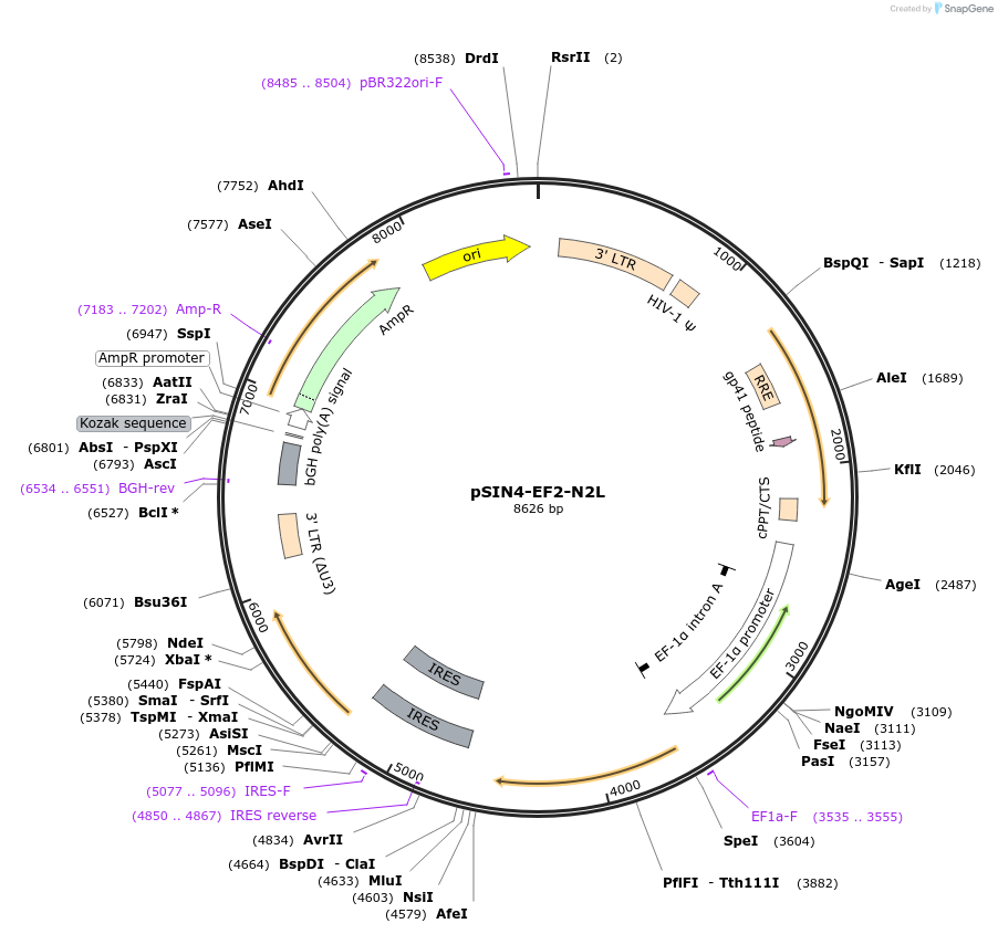 9807_map