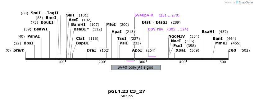 98071_map