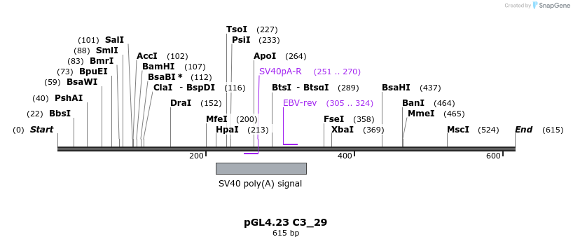 98073_map