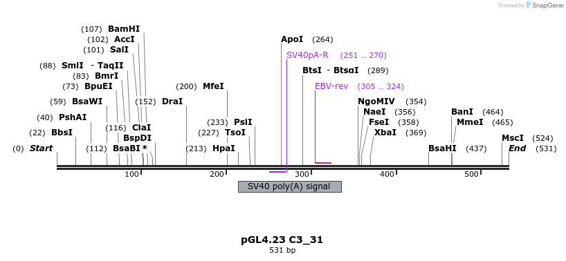 98074_map