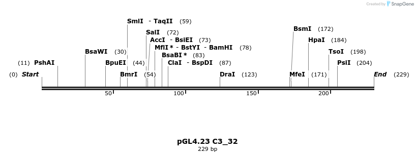 98076_map