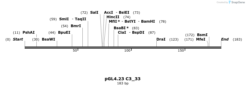 98077_map