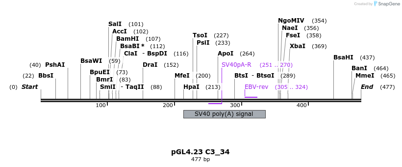 98078_map