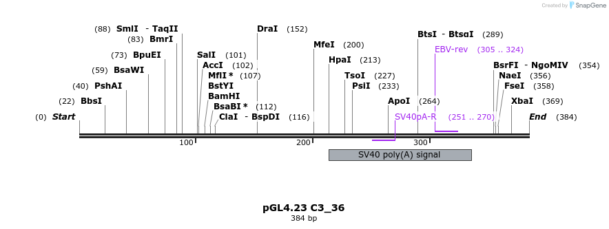 98079_map