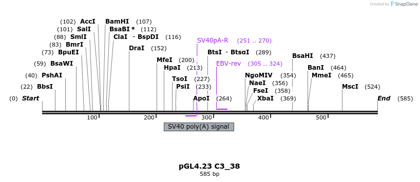 98082_map