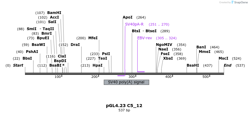 98084_map