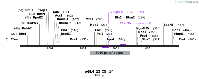 98085_map