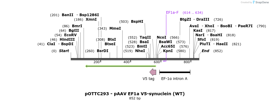 98087_map