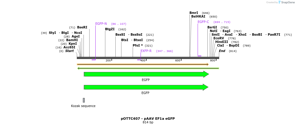 98088_map