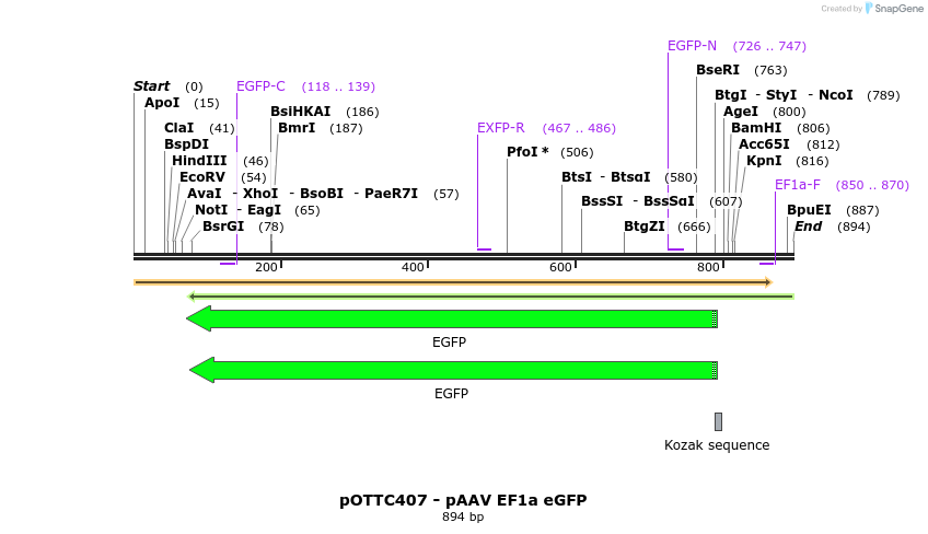 98089_map