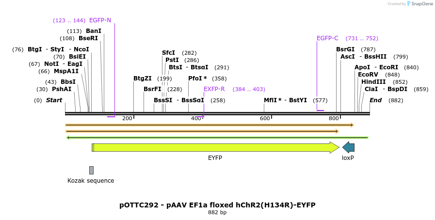 98091_map
