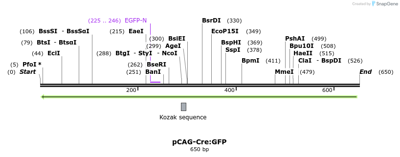 98094_map