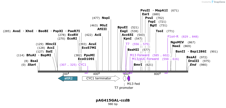 98097_map
