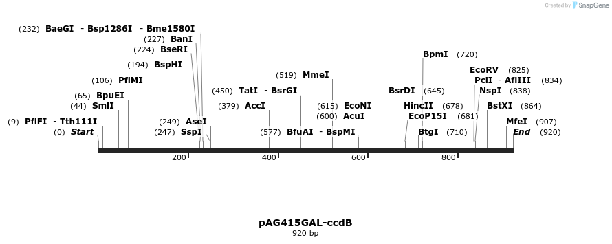 98098_map
