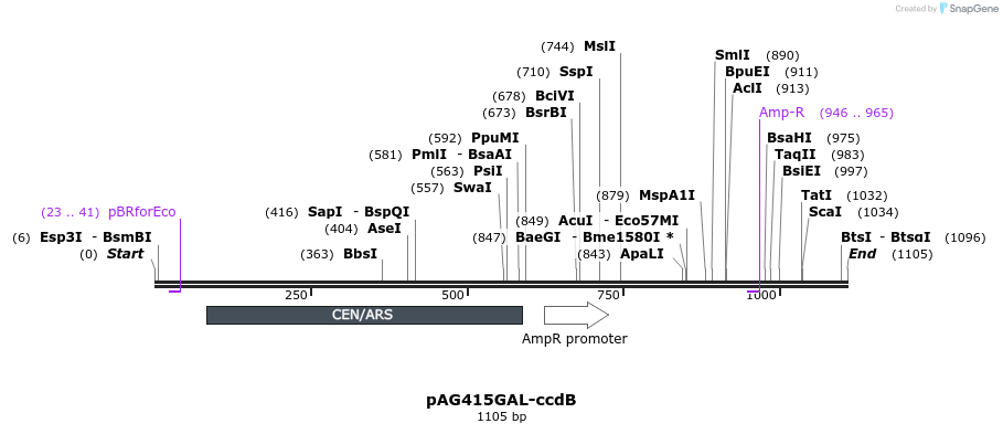98099_map