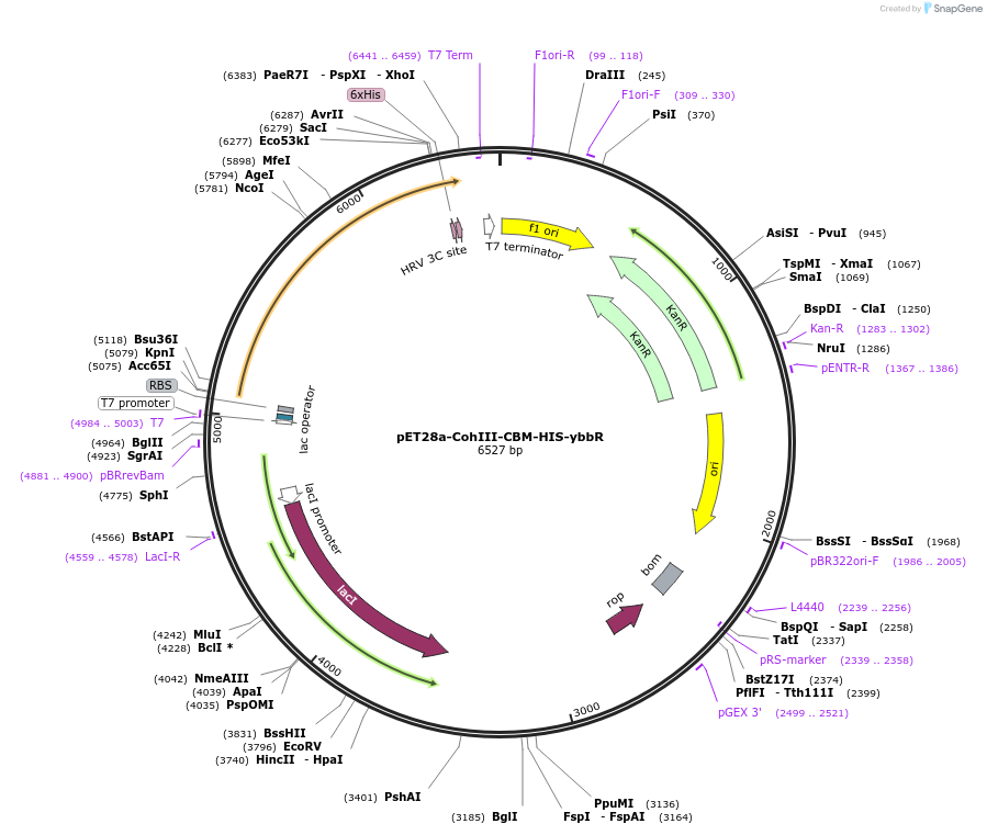 98102_map