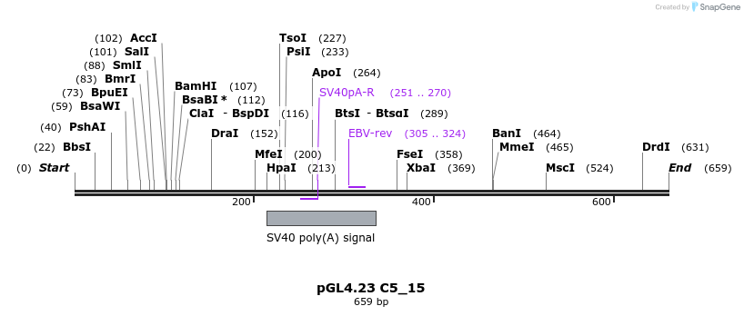 98107_map