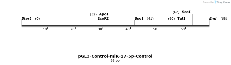 9811_map