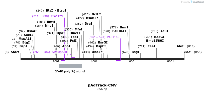 98112_map
