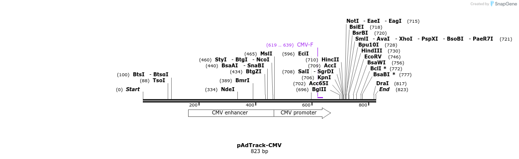 98116_map