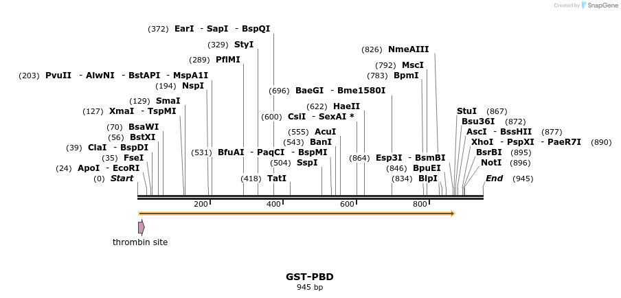 98117_map