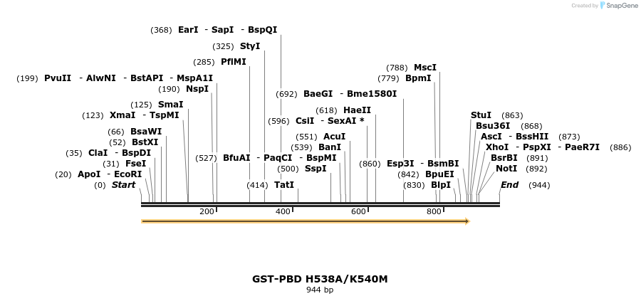 98118_map