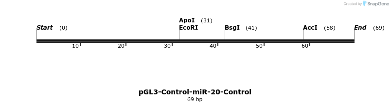 9812_map