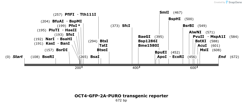 98121_map