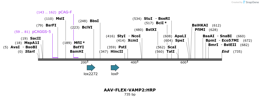 98126_map