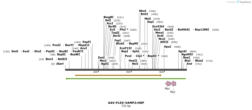 98127_map
