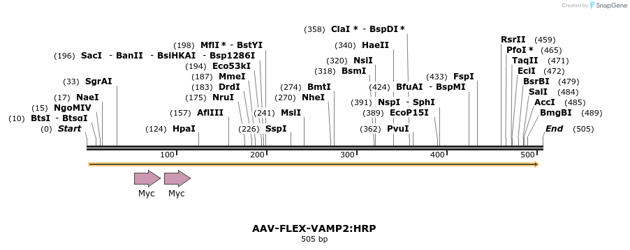 98128_map