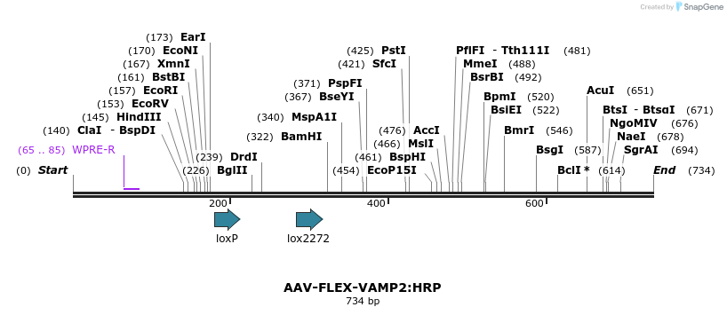 98129_map