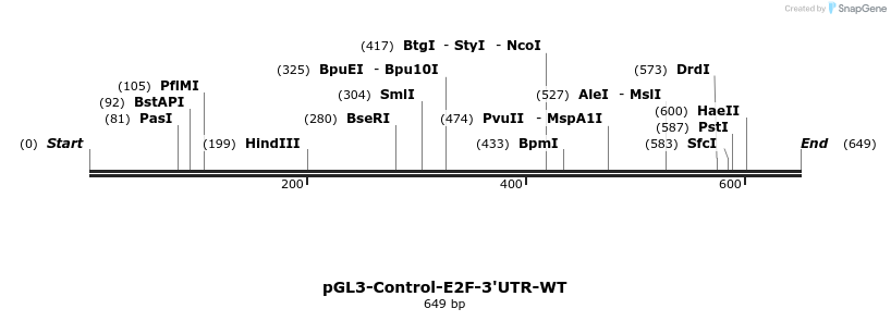 9813_map