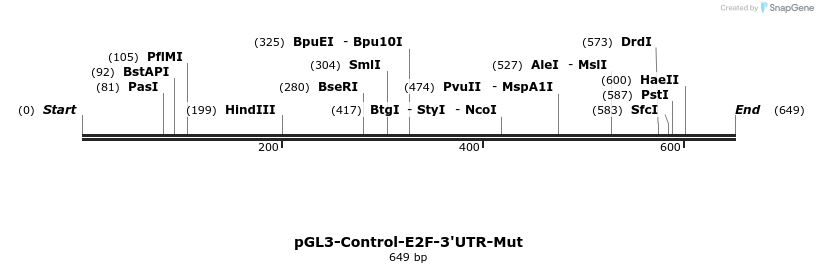 9814_map