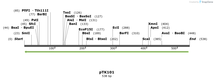 98142_map