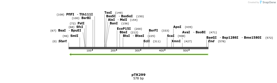 98143_map