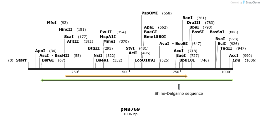 98149_map