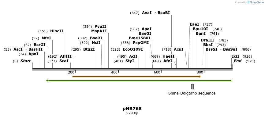 98158_map
