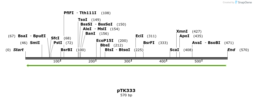 98161_map