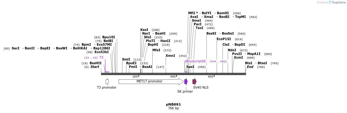 98164_map