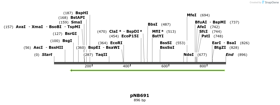 98165_map