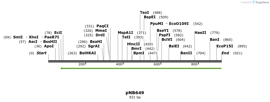 98166_map