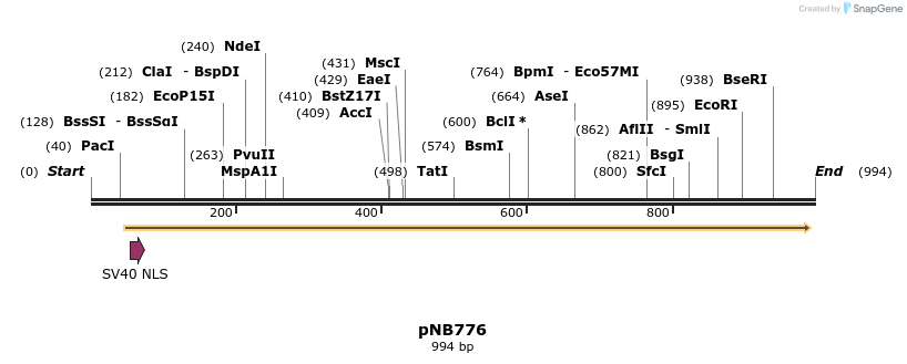 98169_map