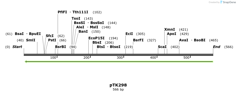 98170_map