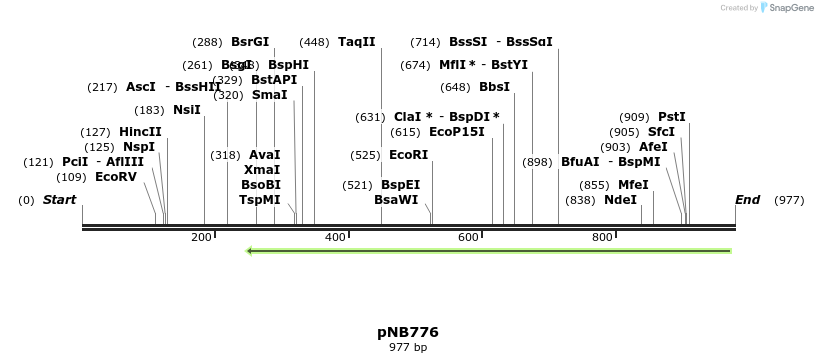 98171_map