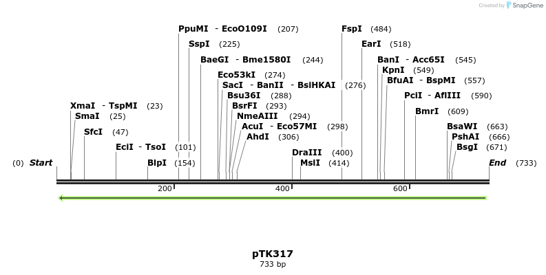 98172_map