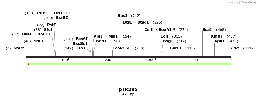 98173_map