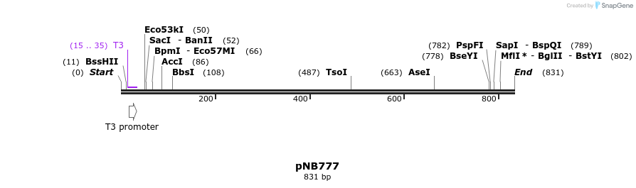 98174_map